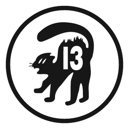 13 logo