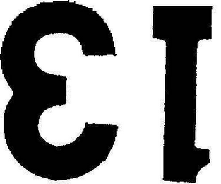 13 logo
