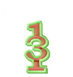 13 logo