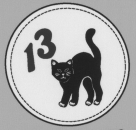 13 logo