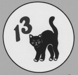13 logo