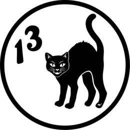 13 logo