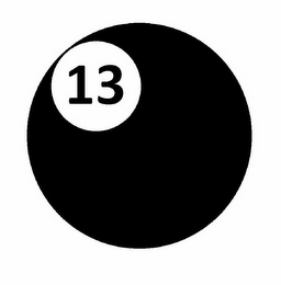 13 logo