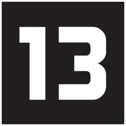 13 logo