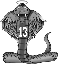 13 logo