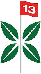 13 logo