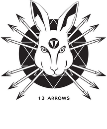 13 ARROWS logo