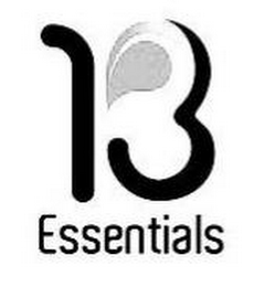 13 ESSENTIALS logo