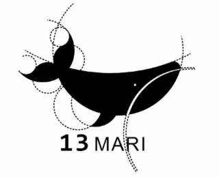 13 MARI logo