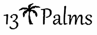 13 PALMS logo