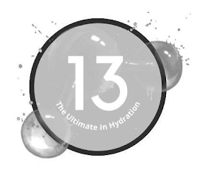 13 THE ULTIMATE IN HYDRATION logo