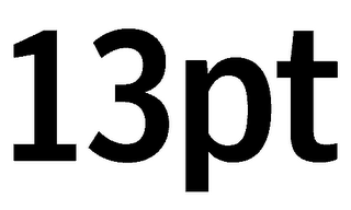 13PT logo