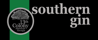 13TH COLONY AMERICUS GEORGIA SOUTHERN GIN logo