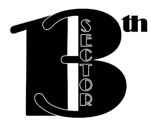 13TH SECTOR logo