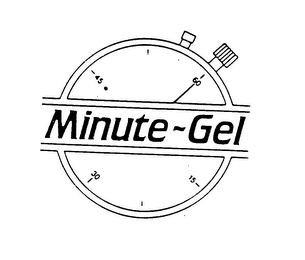 15 30 45 60 MINUTE-GEL logo