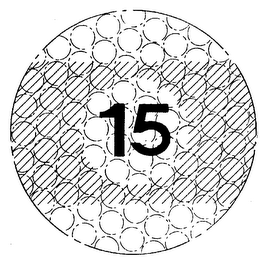 15 logo