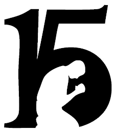 15 logo