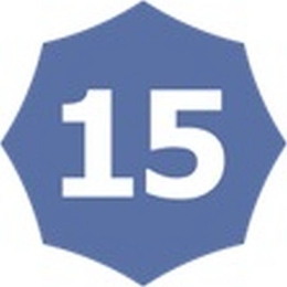 15 logo
