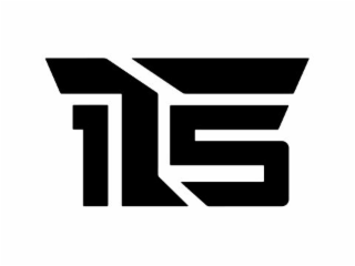 15 T logo