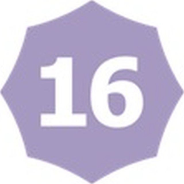 16 logo