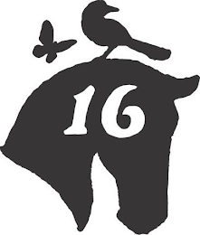 16 logo