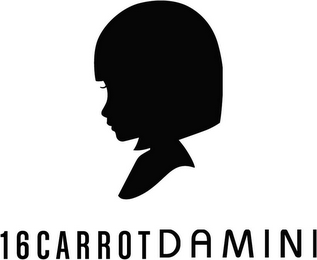16CARROT DAMINI logo