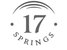 17 SPRINGS logo