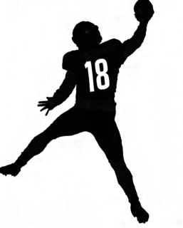 18 logo