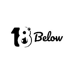 18 BELOW logo