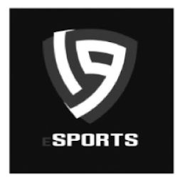 19 ESPORTS logo