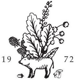 1972 logo