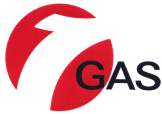 1GAS logo