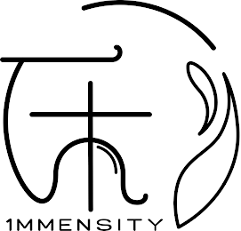 1MMENSITY logo