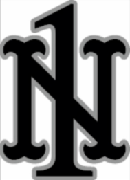 1N logo