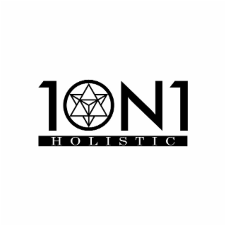 1ON1 HOLISTIC logo