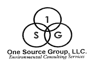 1SG ONE SOURCE GROUP, LLC. ENVIRONMENTAL CONSULTING SERVICES logo