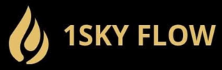 1SKY FLOW logo