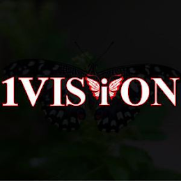1VISION logo