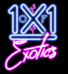 1X1 OF EXOTICS logo