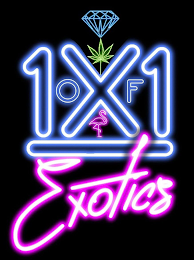 1X1 OF EXOTICS logo