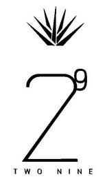 2 9 TWO NINE logo