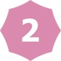 2 logo