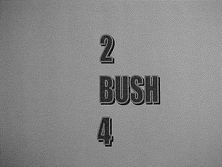 2 BUSH 4 logo