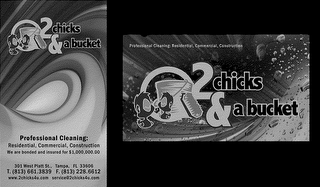 2 CHICKS & A BUCKET logo