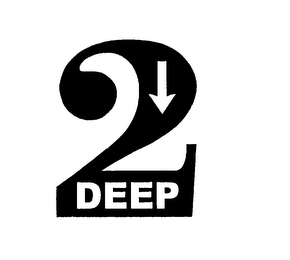 2 DEEP logo