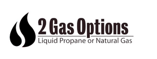 2 GAS OPTIONS LIQUID PROPANE OR NATURAL GAS logo