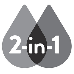 2-IN-1 logo