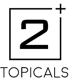 2+ TOPICALS logo