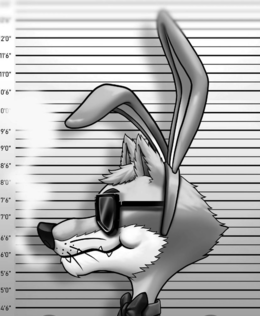 2'0" 11'6" 11'0" 0'6" 0'0 9'6" 9'0" 8'6" 8'0" 7'6" 7'0" 6'6" 6'0" 5'6" 5'0" 4'6" logo
