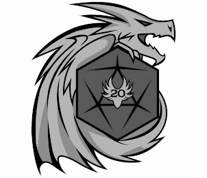 20 logo